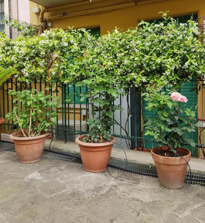 Jubilee 3 Luxury Apartment In Rome Vatican Exteriör bild